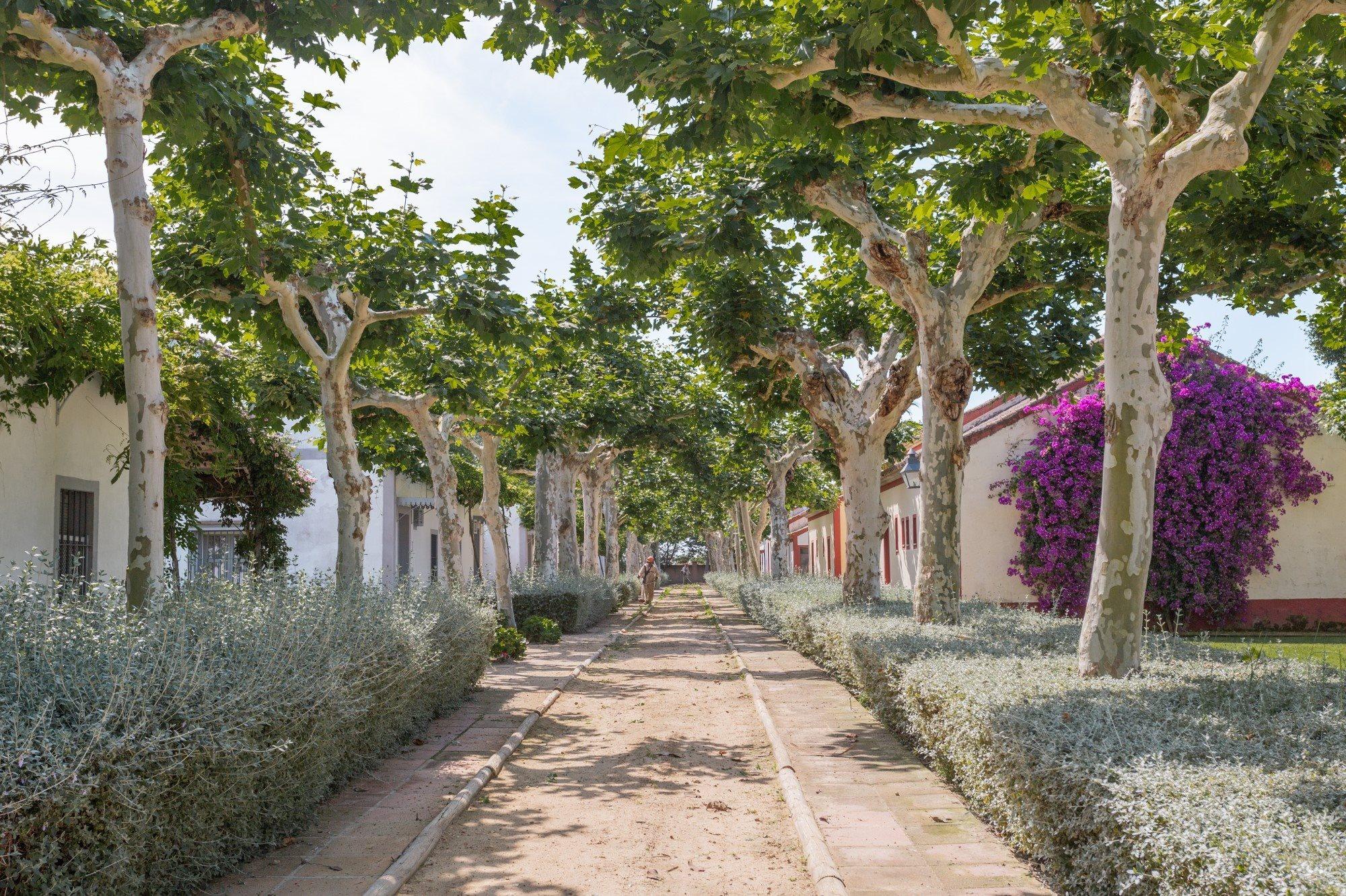 El Cortijo De Los Mimbrales Hotel Almonte Luaran gambar